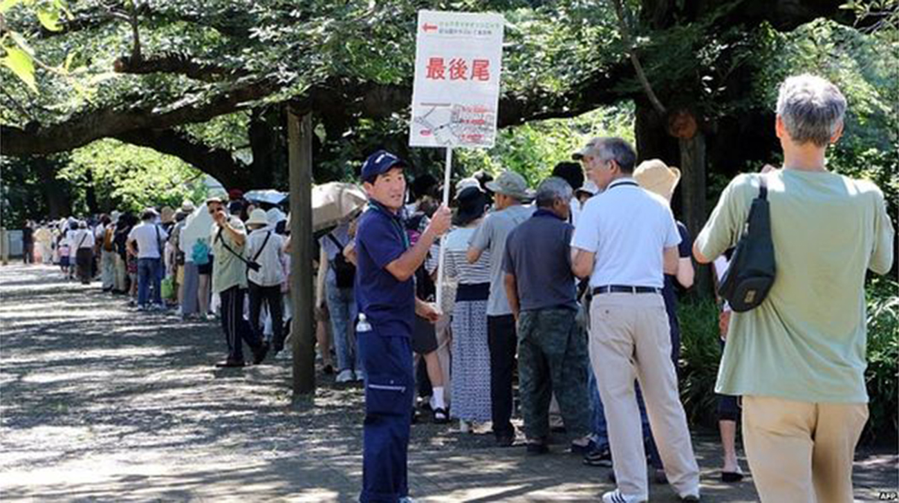 largest-flower-visitors.jpg