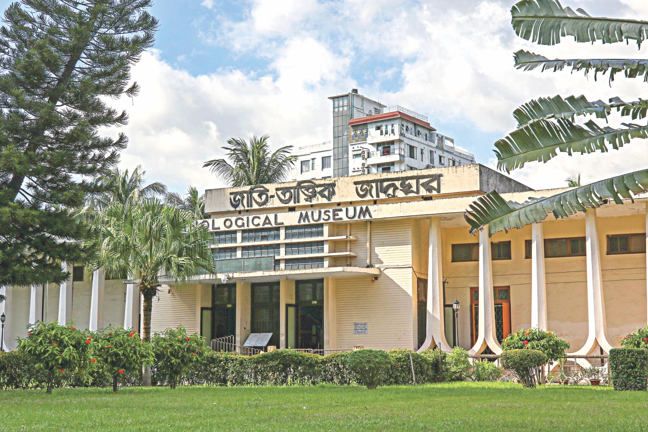 lone_ethnological_museum_2.jpg