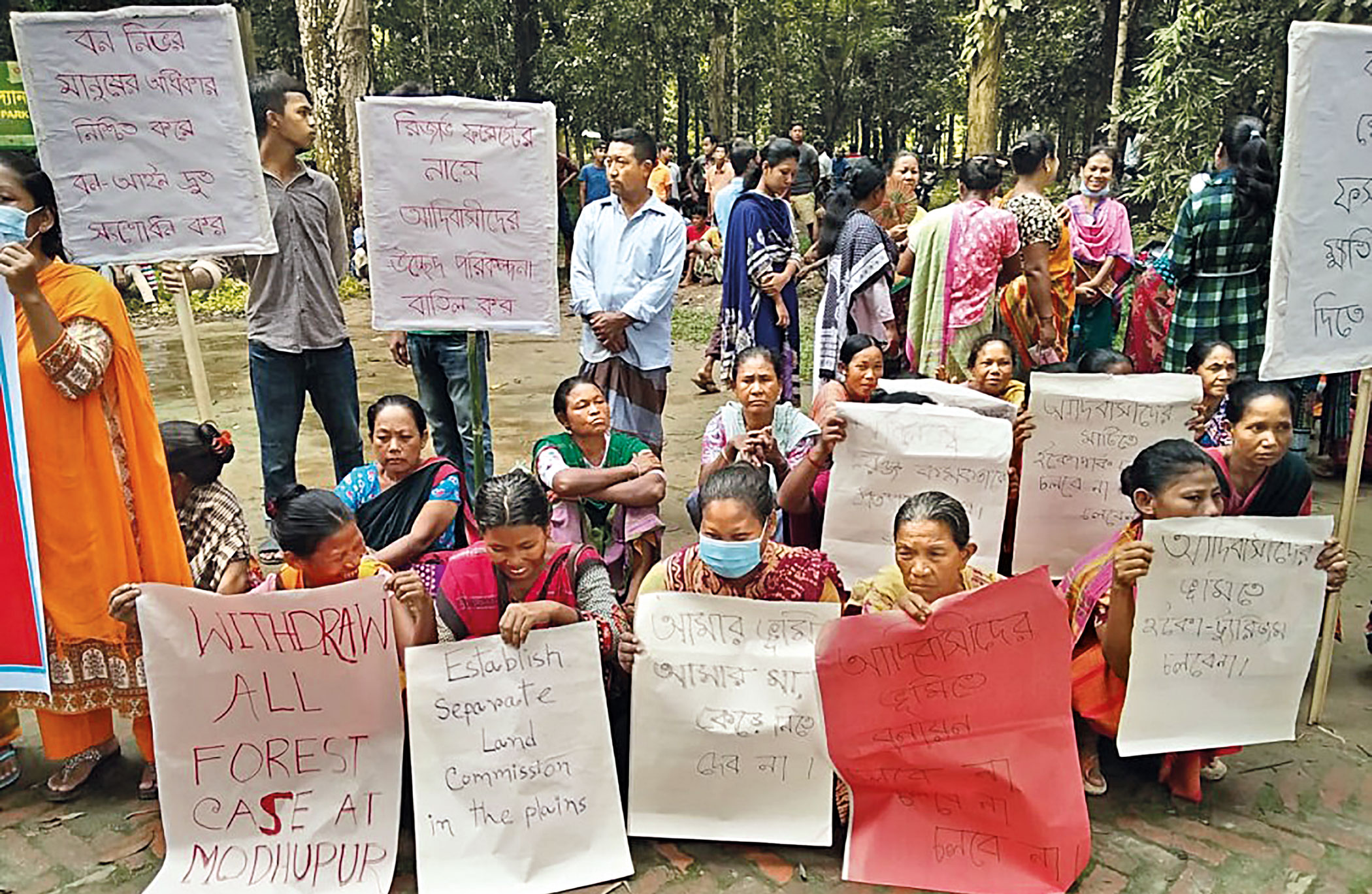 madhupur2.jpg