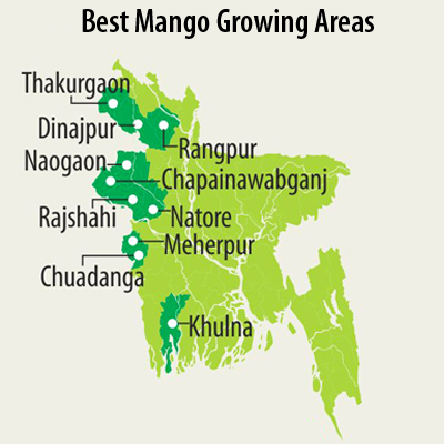 Mango2.jpg