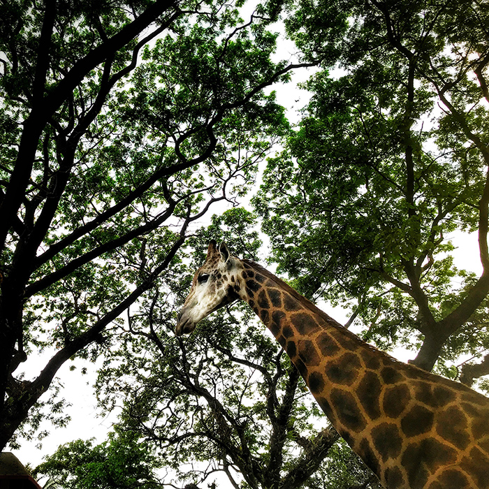 mirpur_zoo_2.jpg