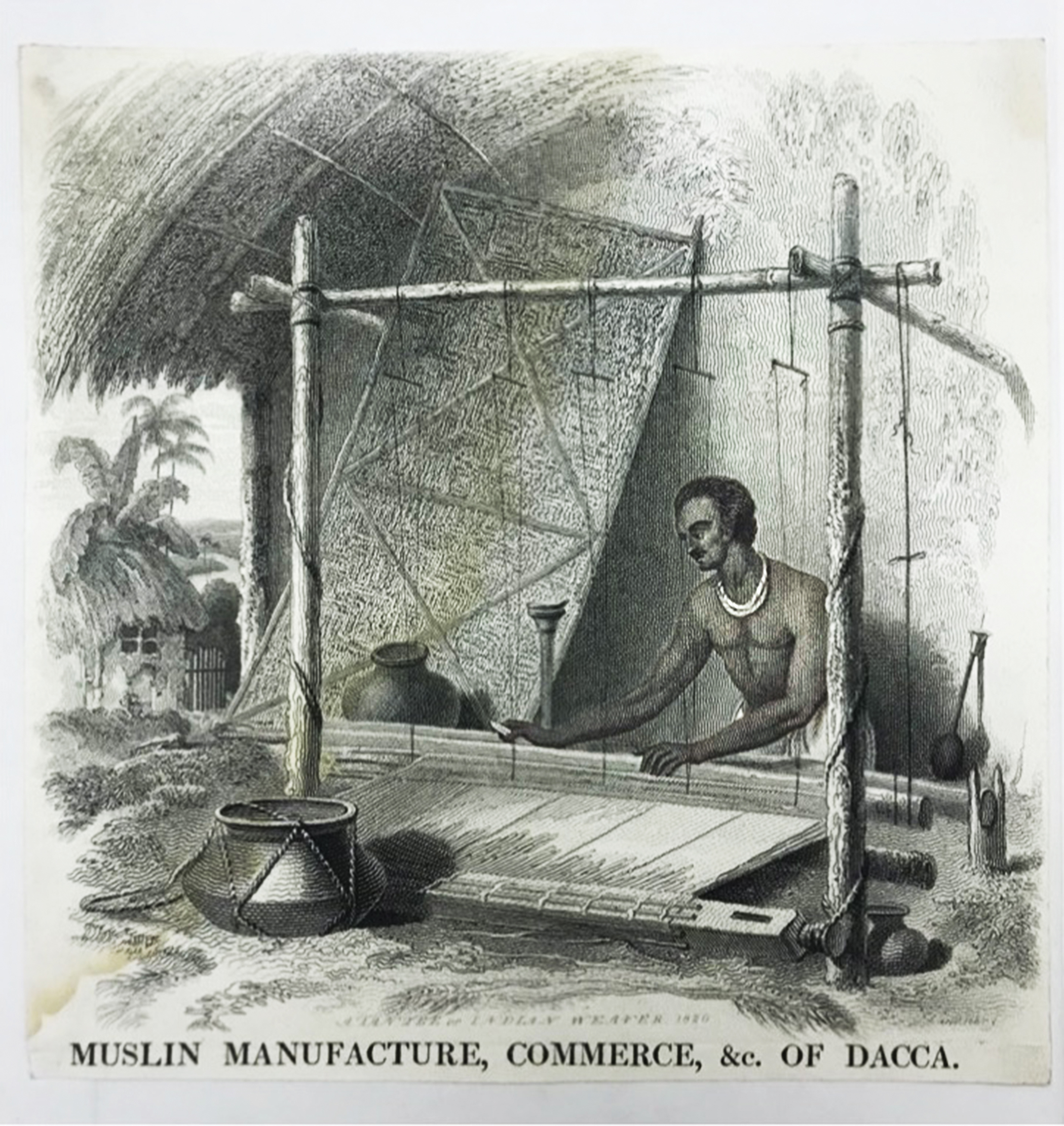 muslin.jpg
