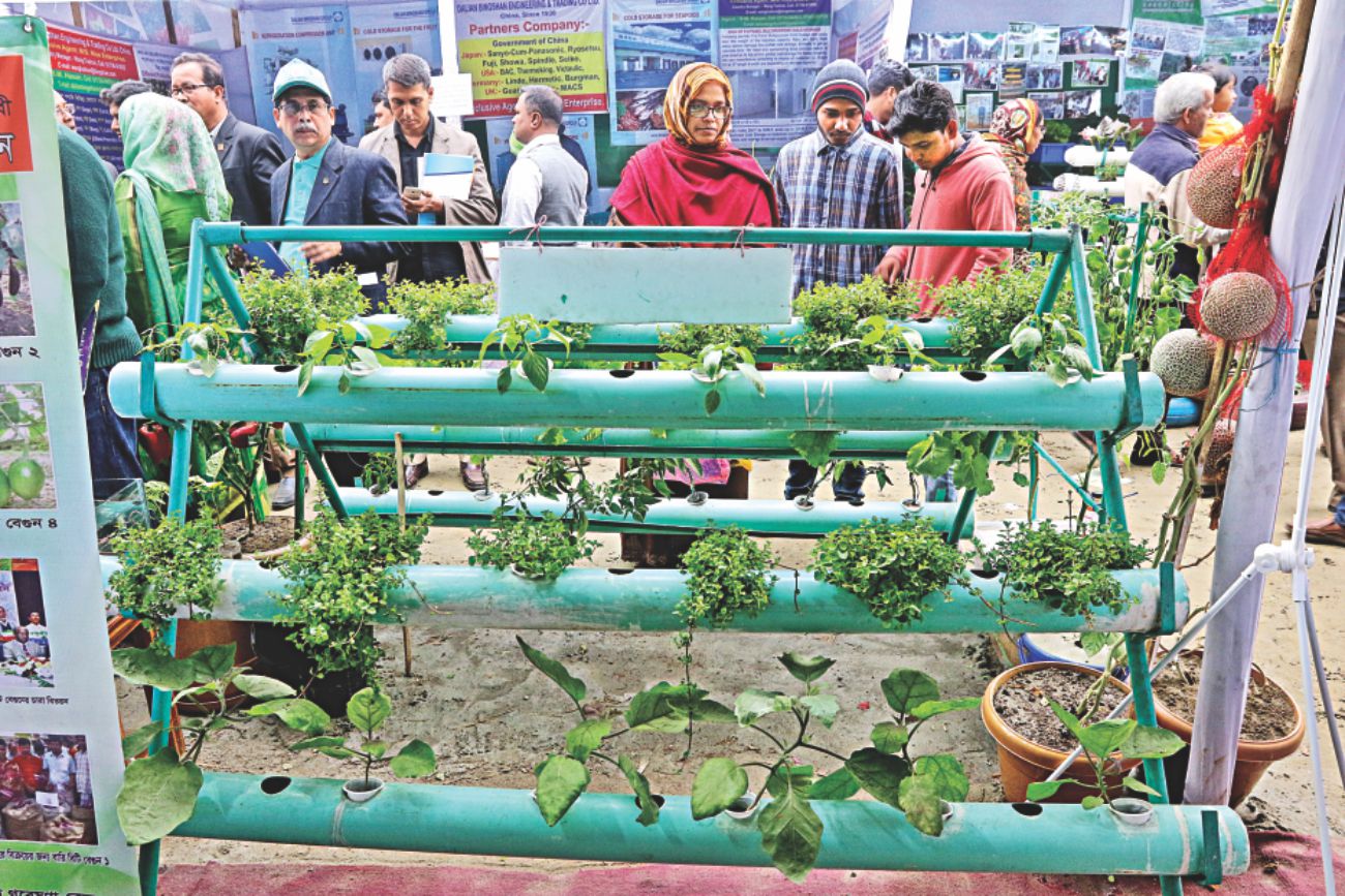 national_vegetable_fair_2.jpg