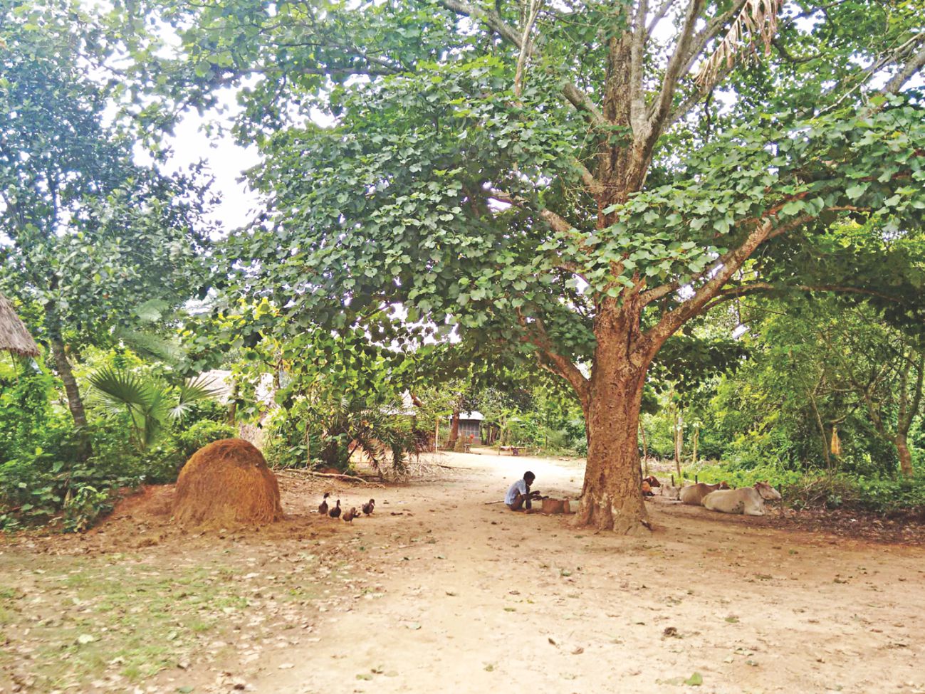 North Bengal