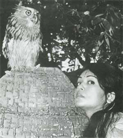 Novera-1970-wb.jpg