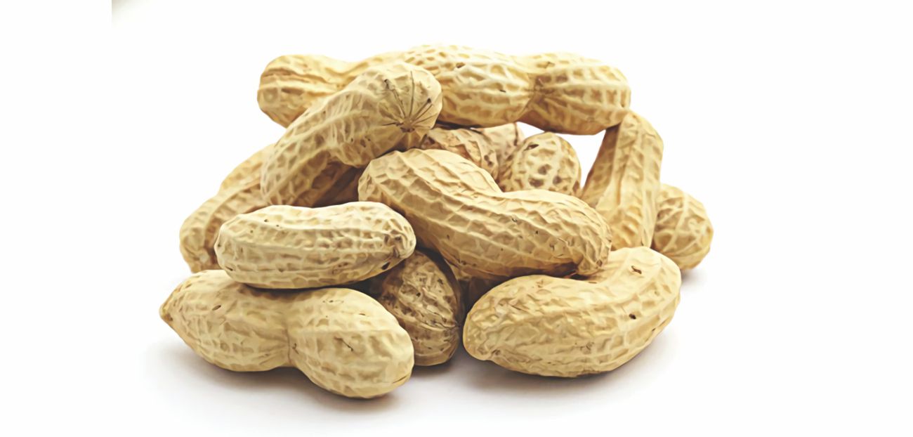 nut.jpg