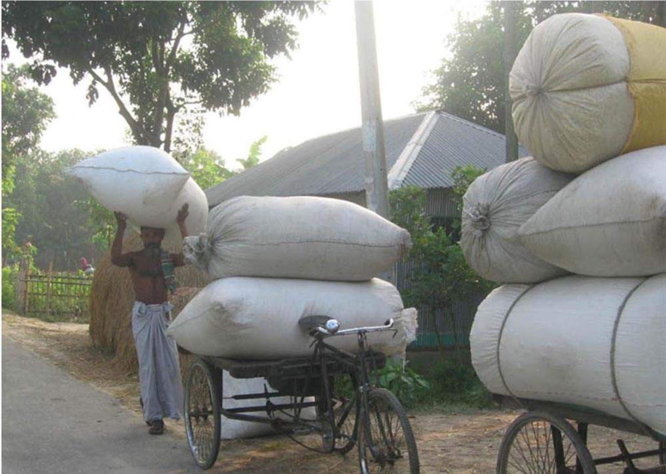 organic muri pabna 2.jpg