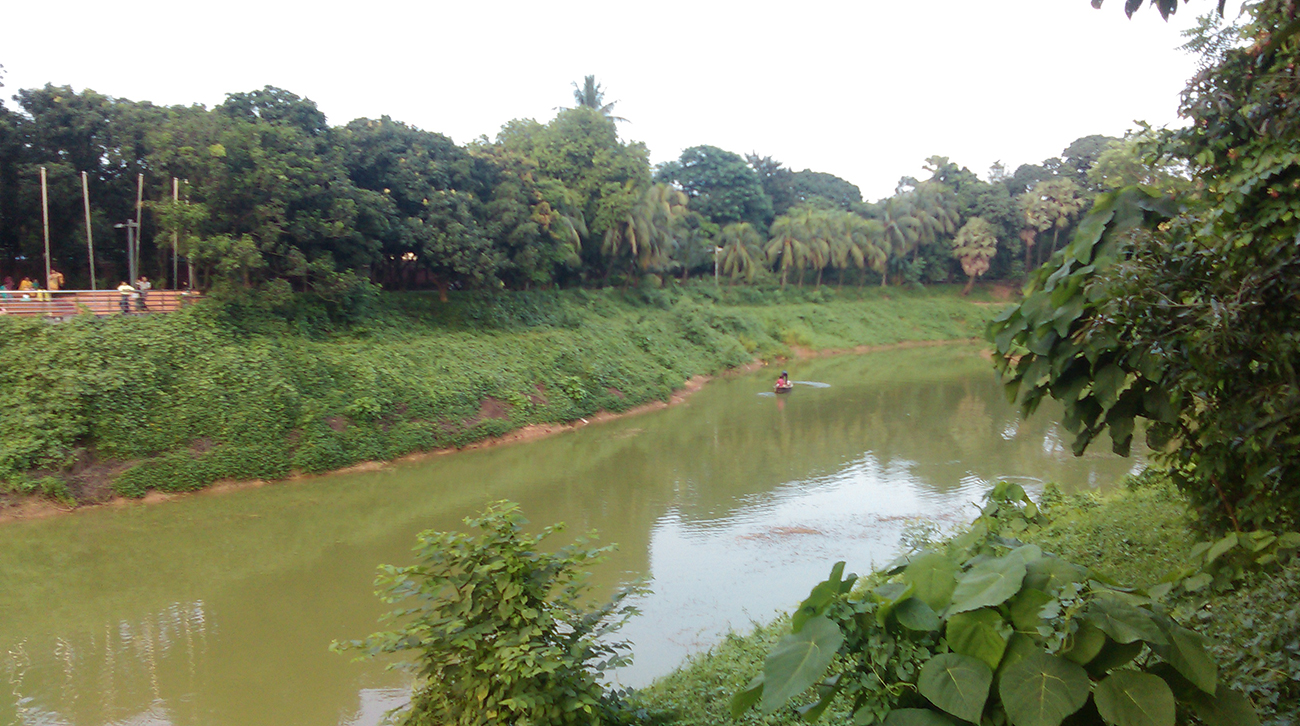 park-2.jpg