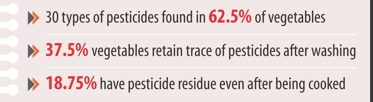 pesticide_in_vegetables.jpg