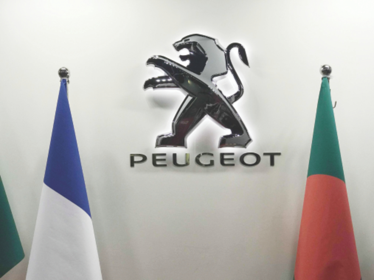 peugeot_1.jpg