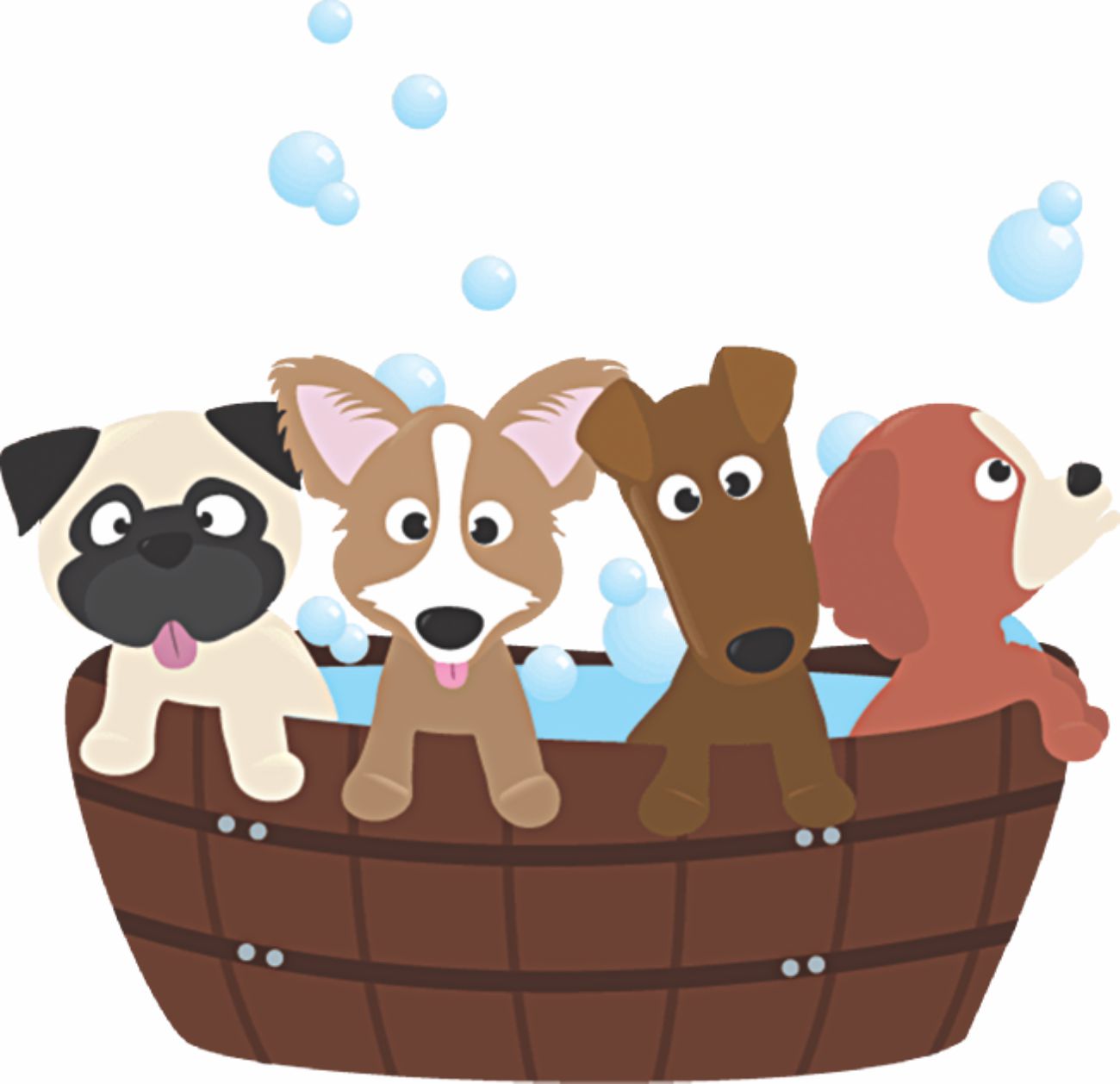 preparing_first_pet_dog
