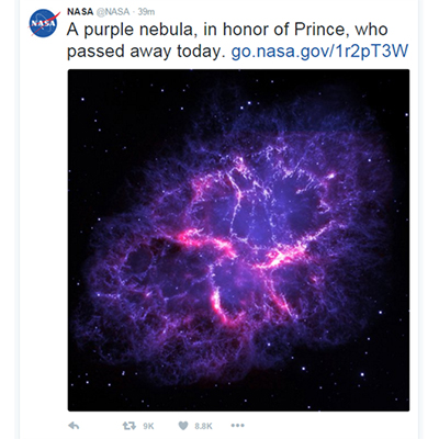 Prince-purple-3-web.jpg