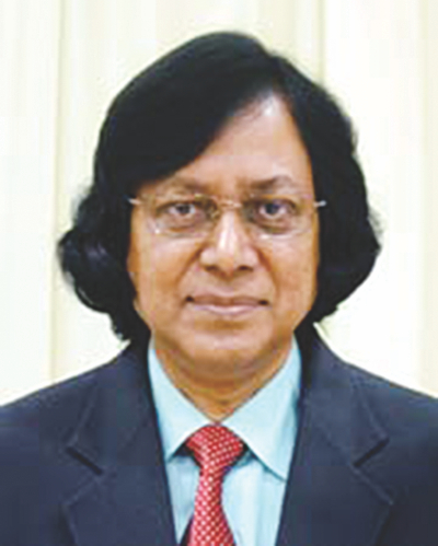 Professor Dr. Muhammad Mizanuddin.jpg