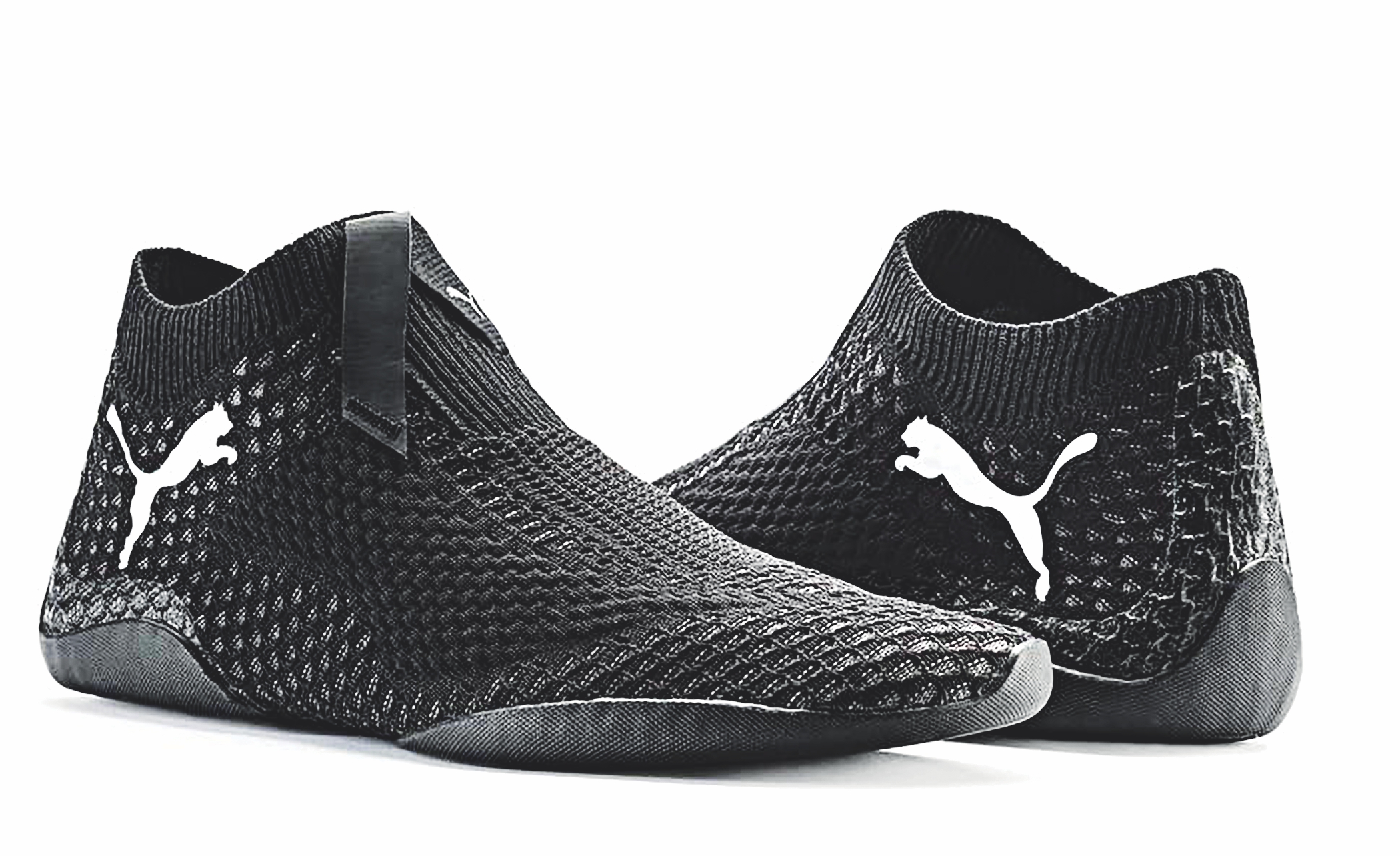 puma.jpg