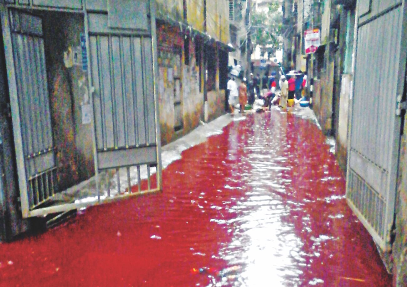 rainwater mixed.jpg