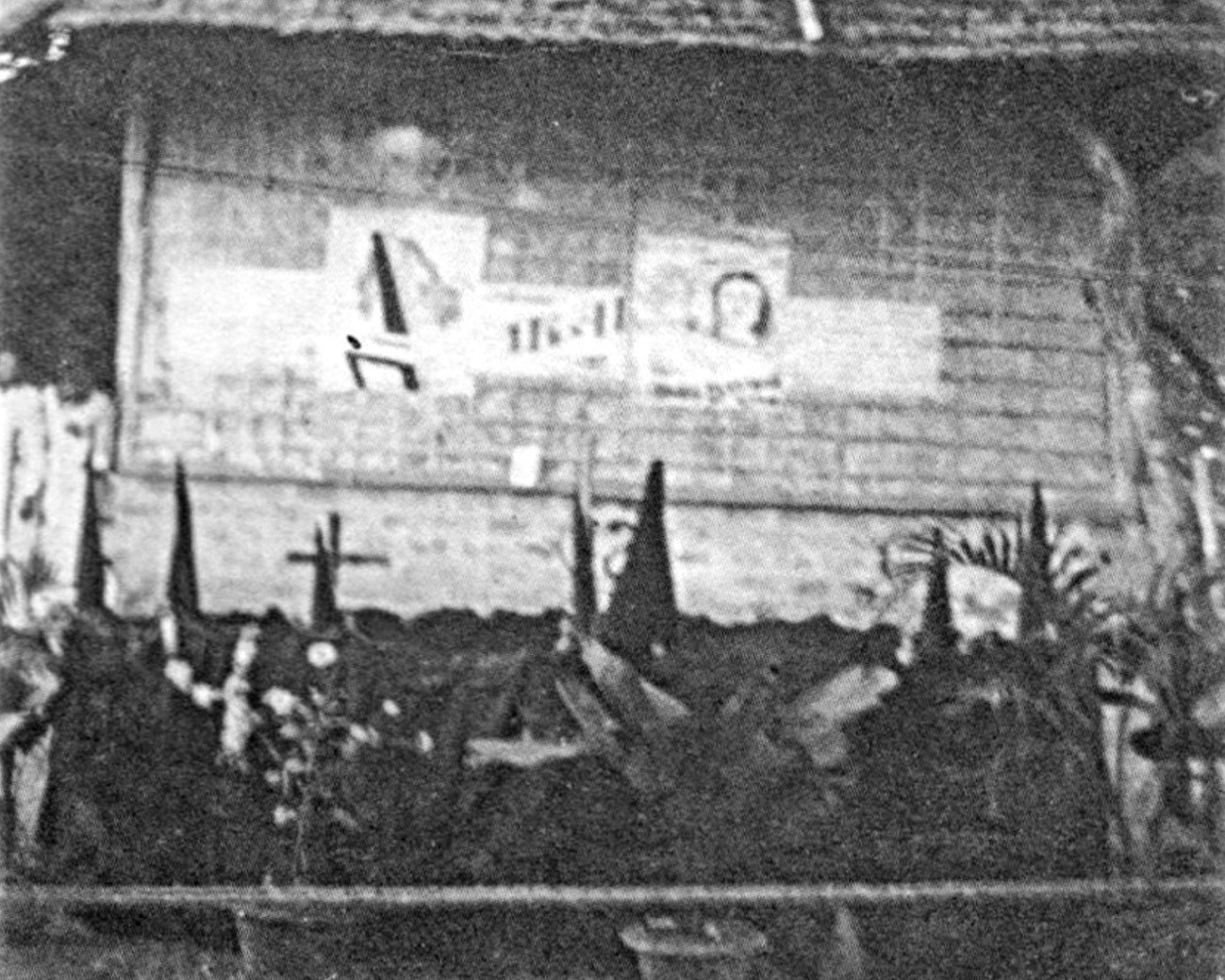 rare_pictures_11.jpg