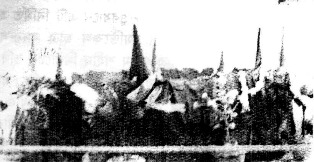 rare_pictures_12.jpg