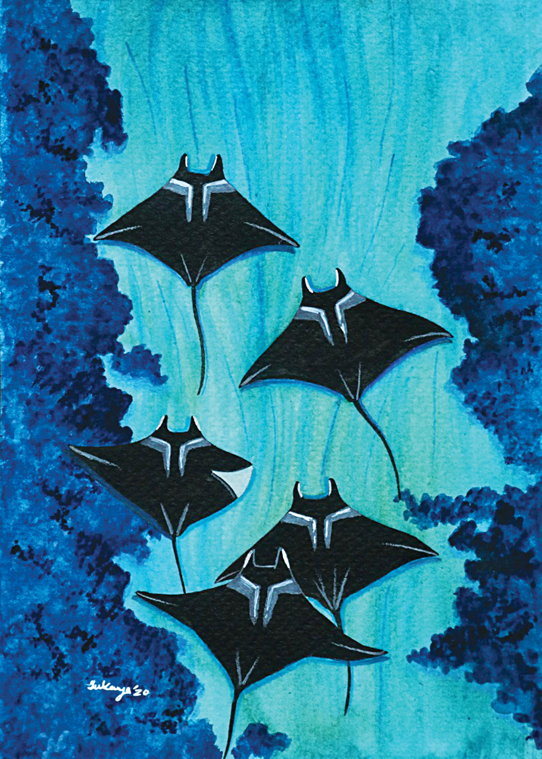 rays-of-bengal4.jpg