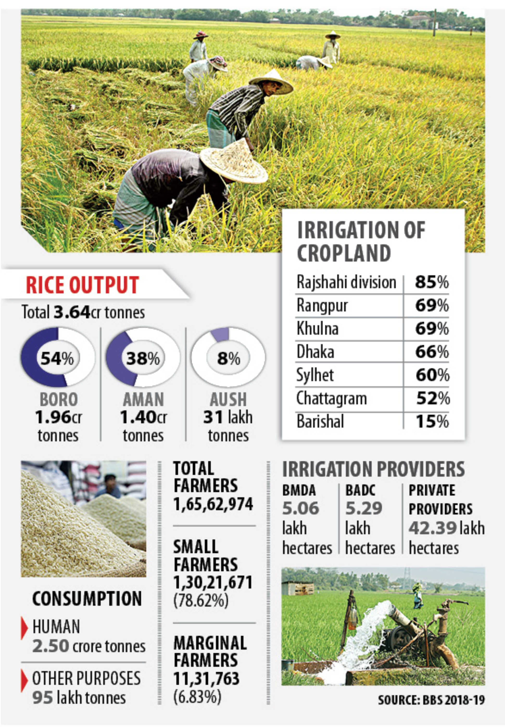 rice_output.jpg