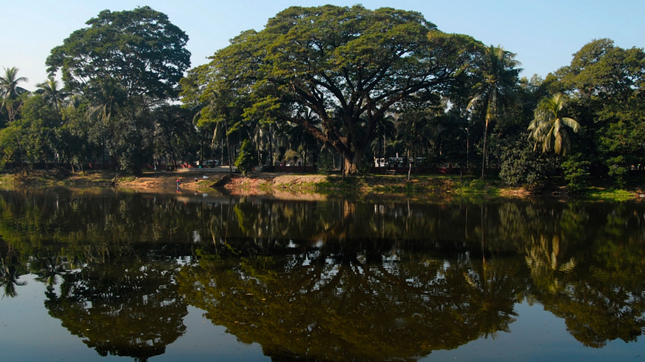 Romna_Park4.JPG