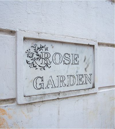 Roses3.jpg