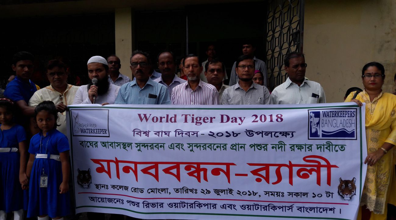 Bengal tiger habitat Sundarbans
