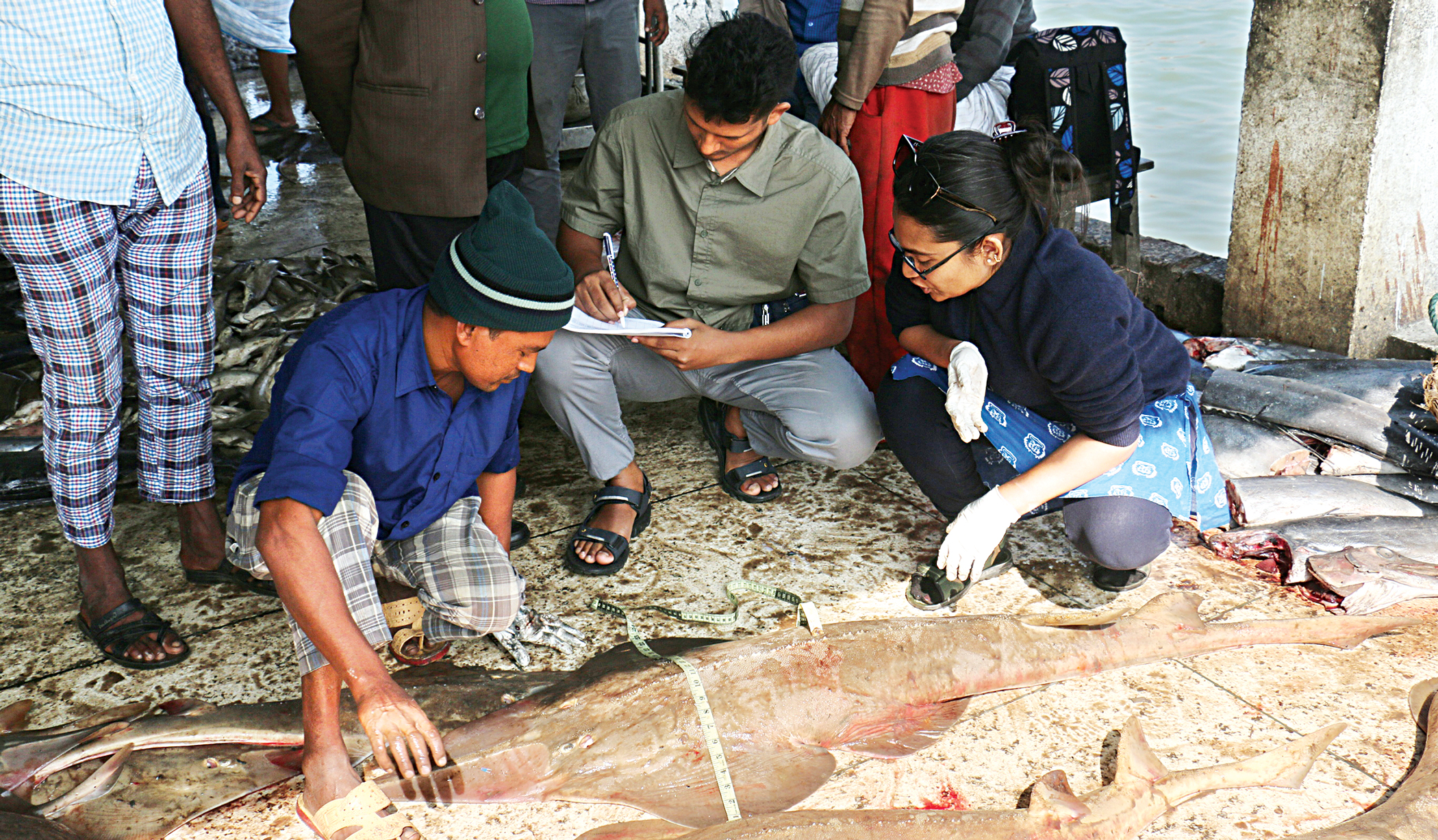 sea-fish6.jpg