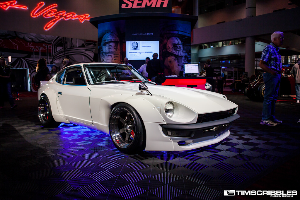 Sema5.jpg