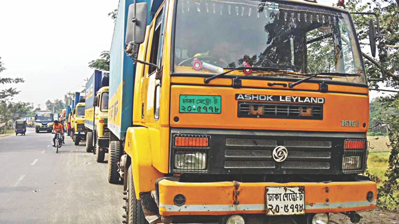 shimulia_tailback_2.jpg