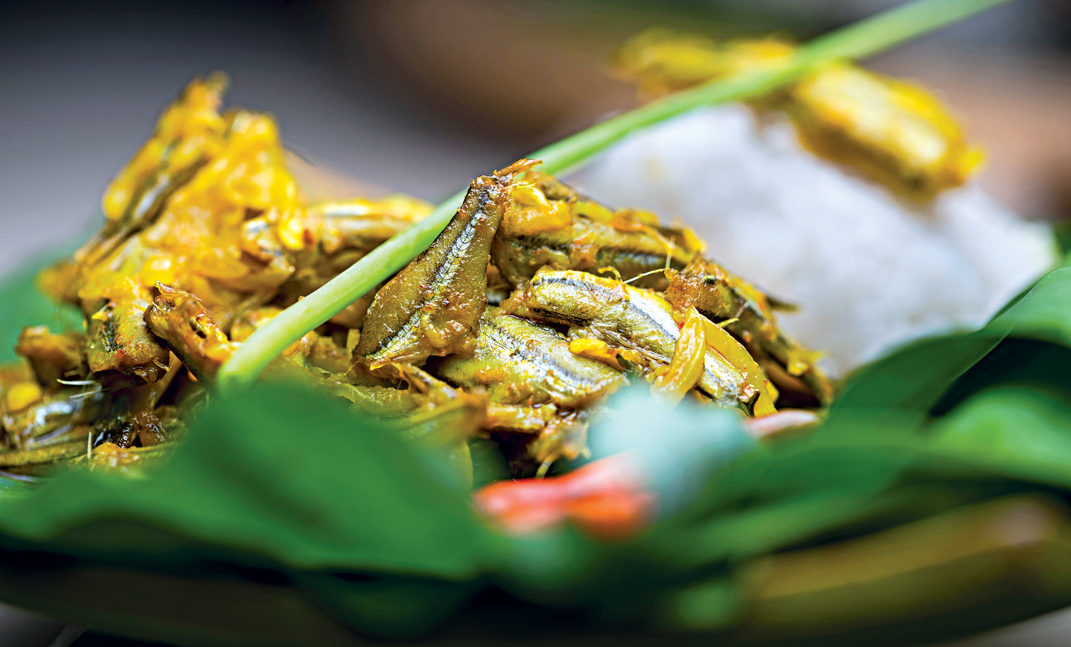 small-fishes4.jpg