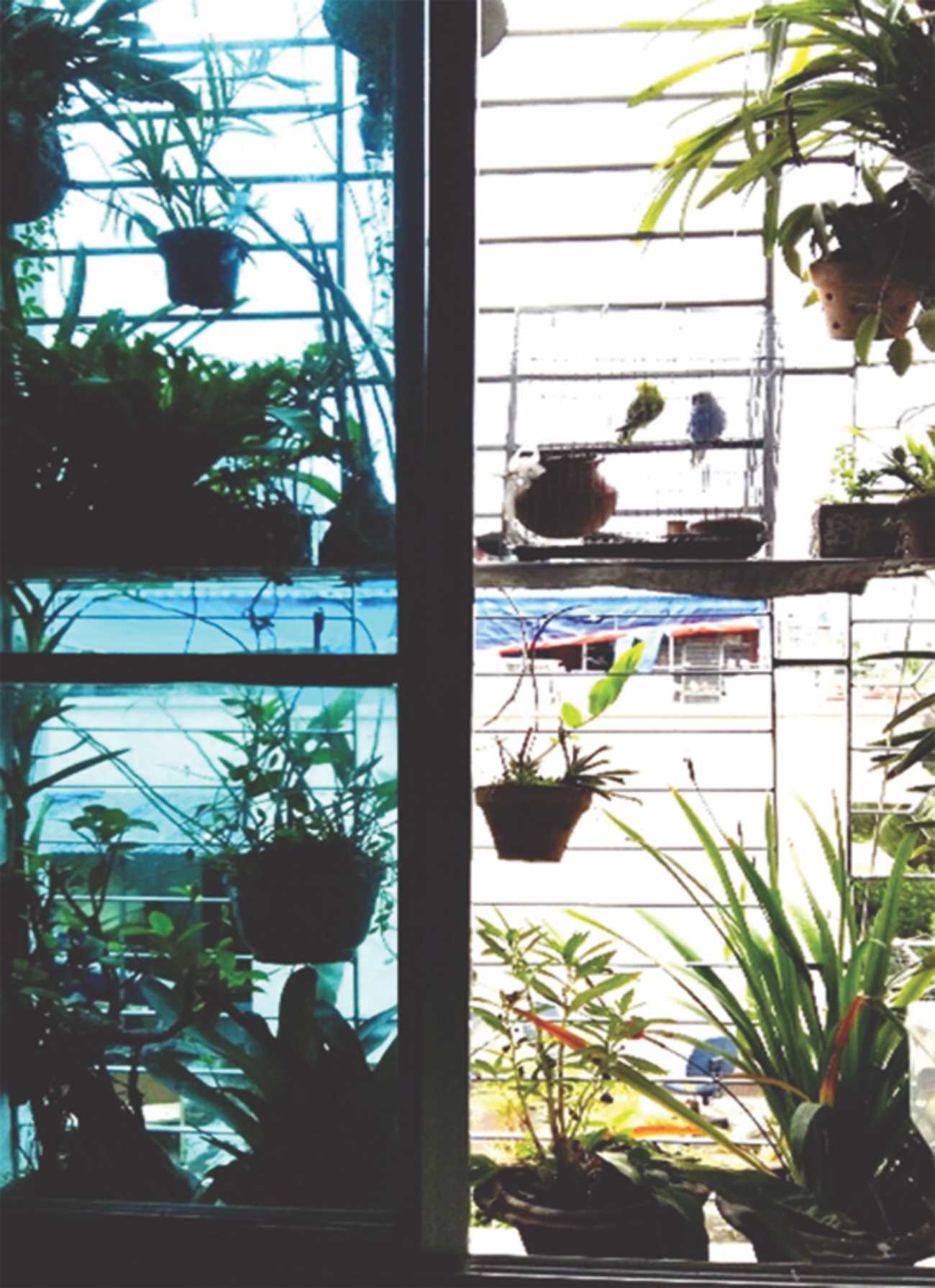small_space_greenery3.jpg