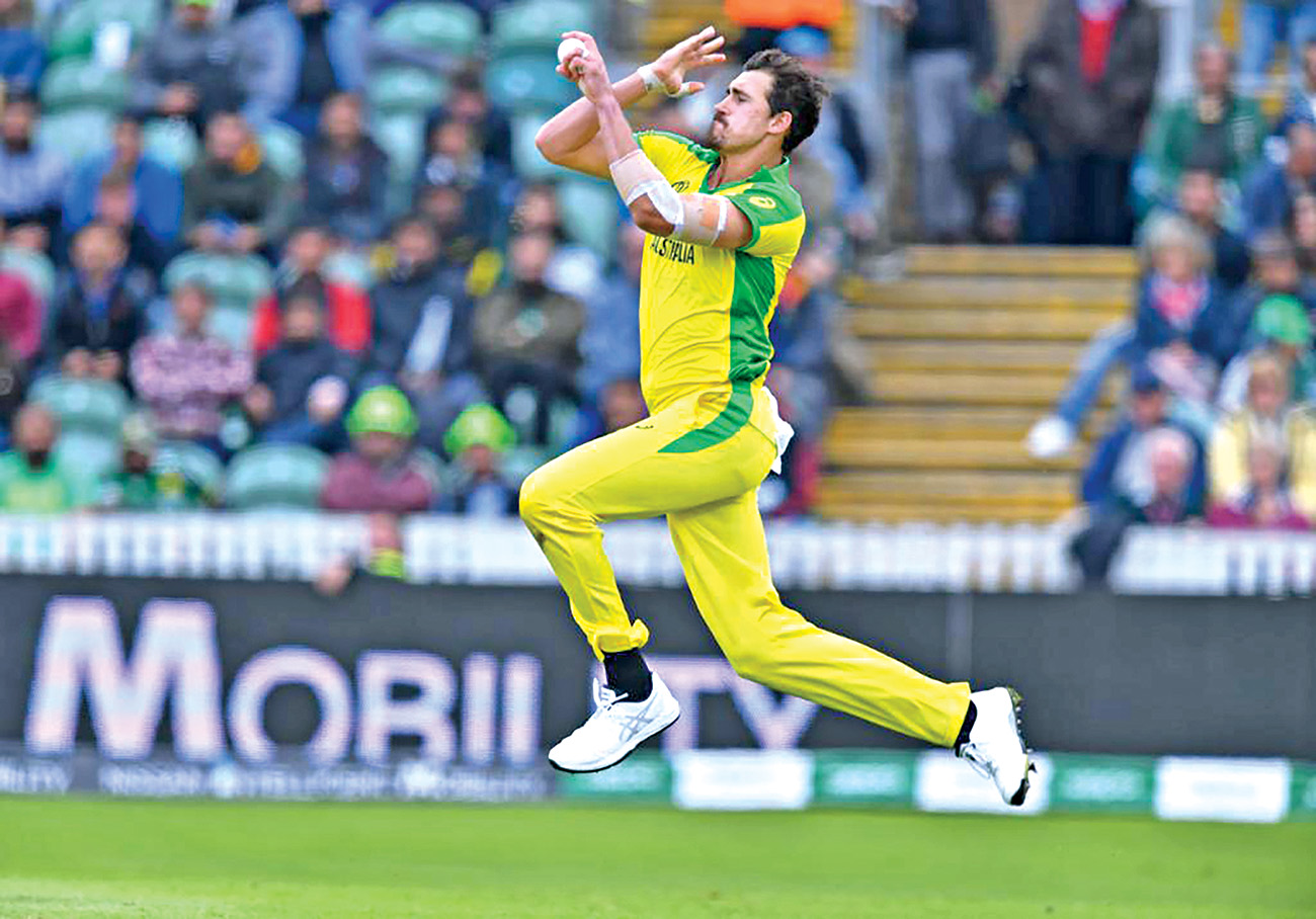 starc_1.jpg