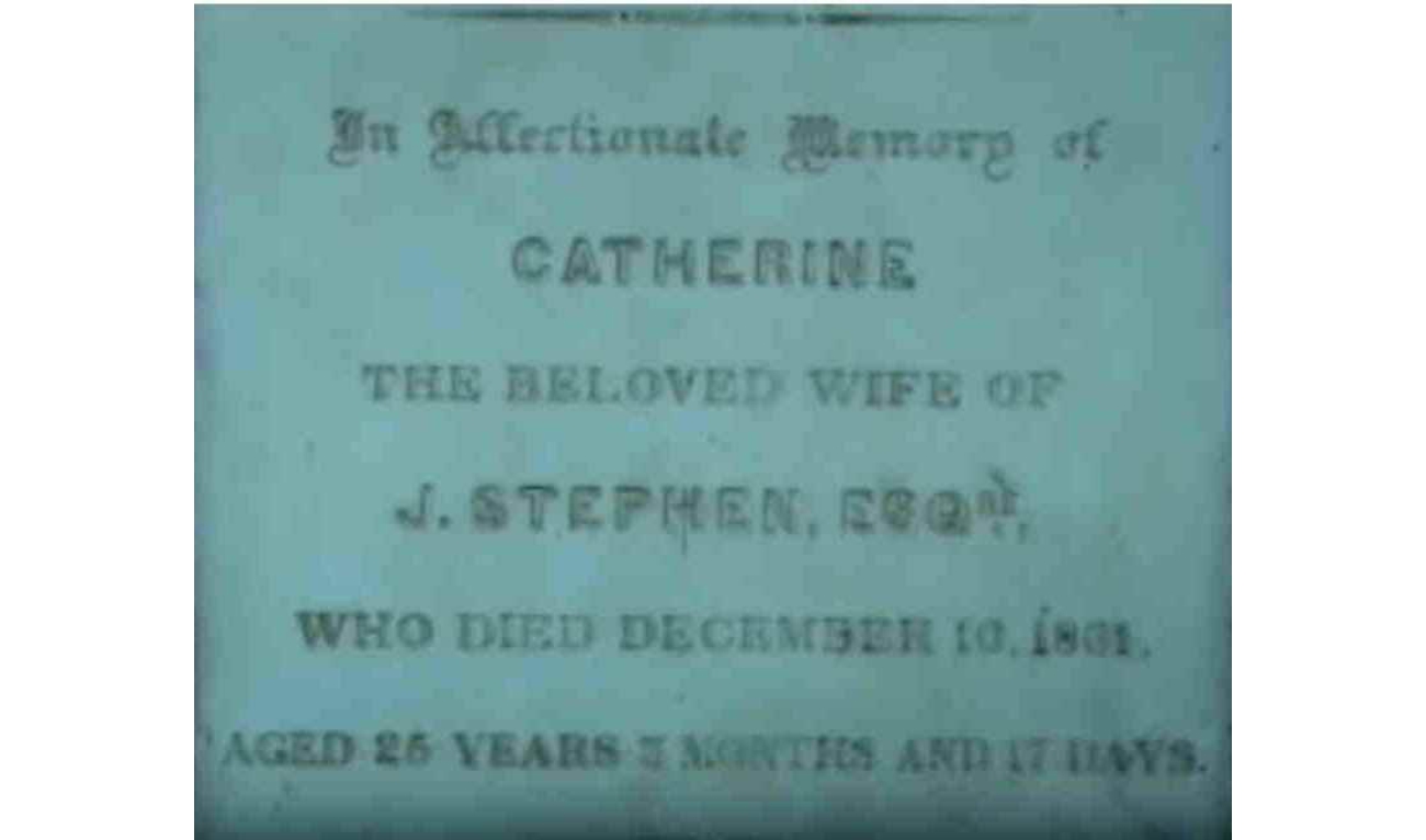 stephen_family_12.jpg