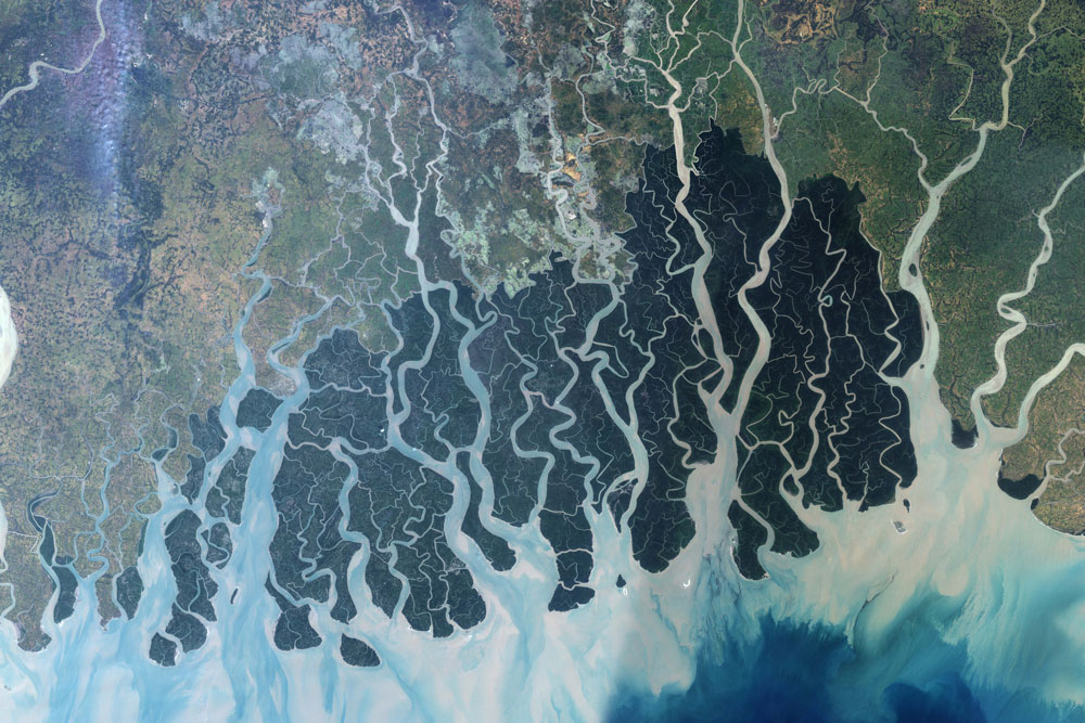 sundarban_nasa.jpg