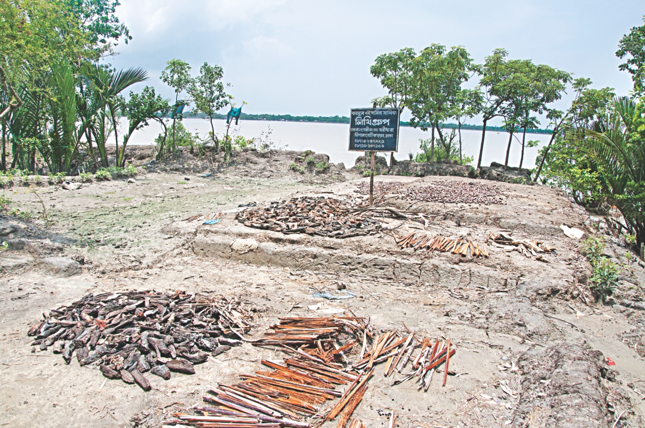 sundarbans 4.jpg