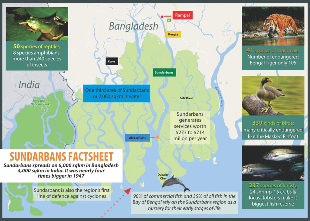 sundarbans_6_0.jpg