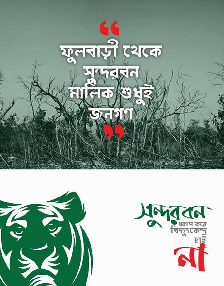 Sundarbans_activism.jpg