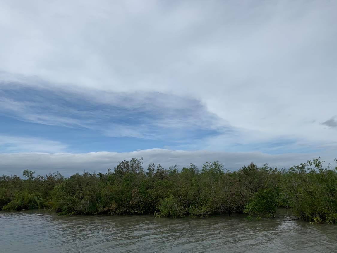 sundarbans_after_cyclone_bulbul.jpg