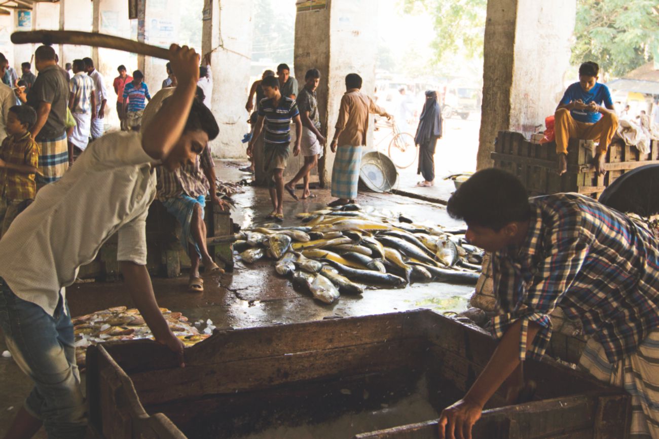 Surviving fish market