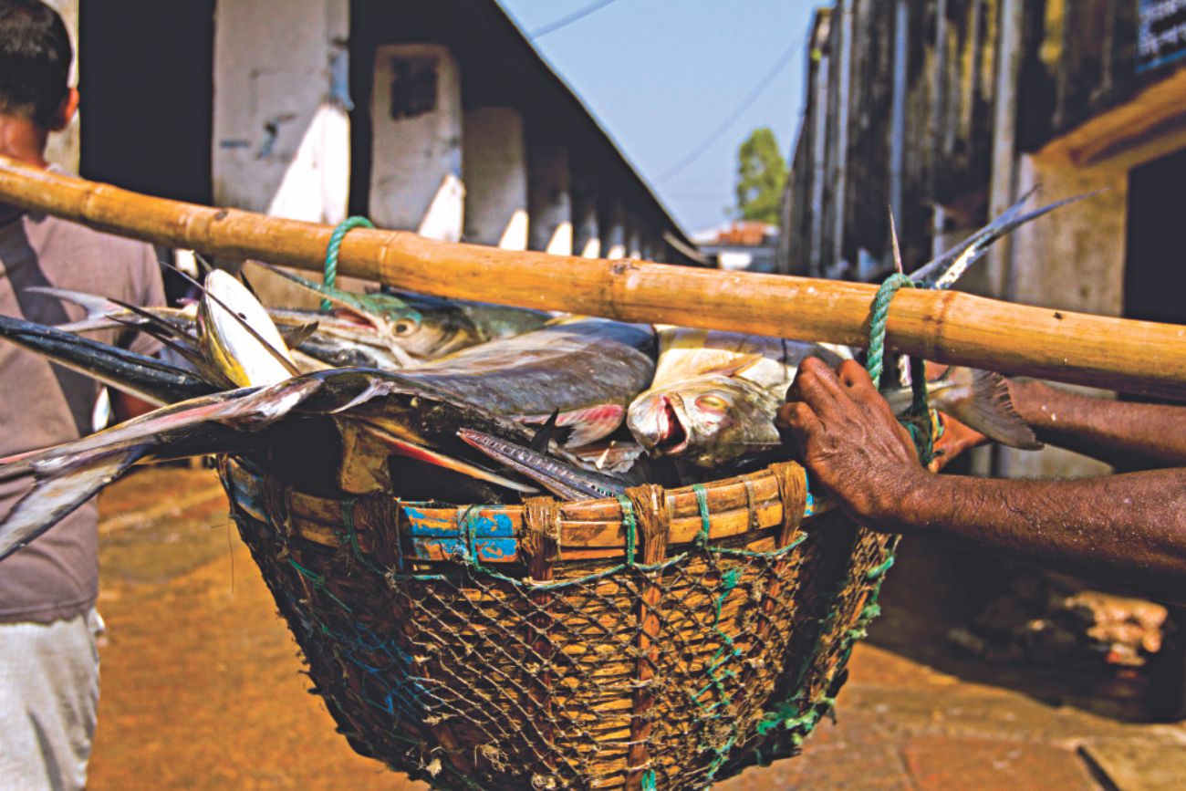 Surviving fish market
