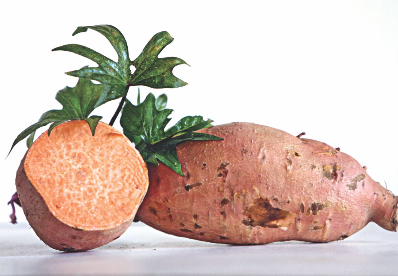 sweet_potato.jpg