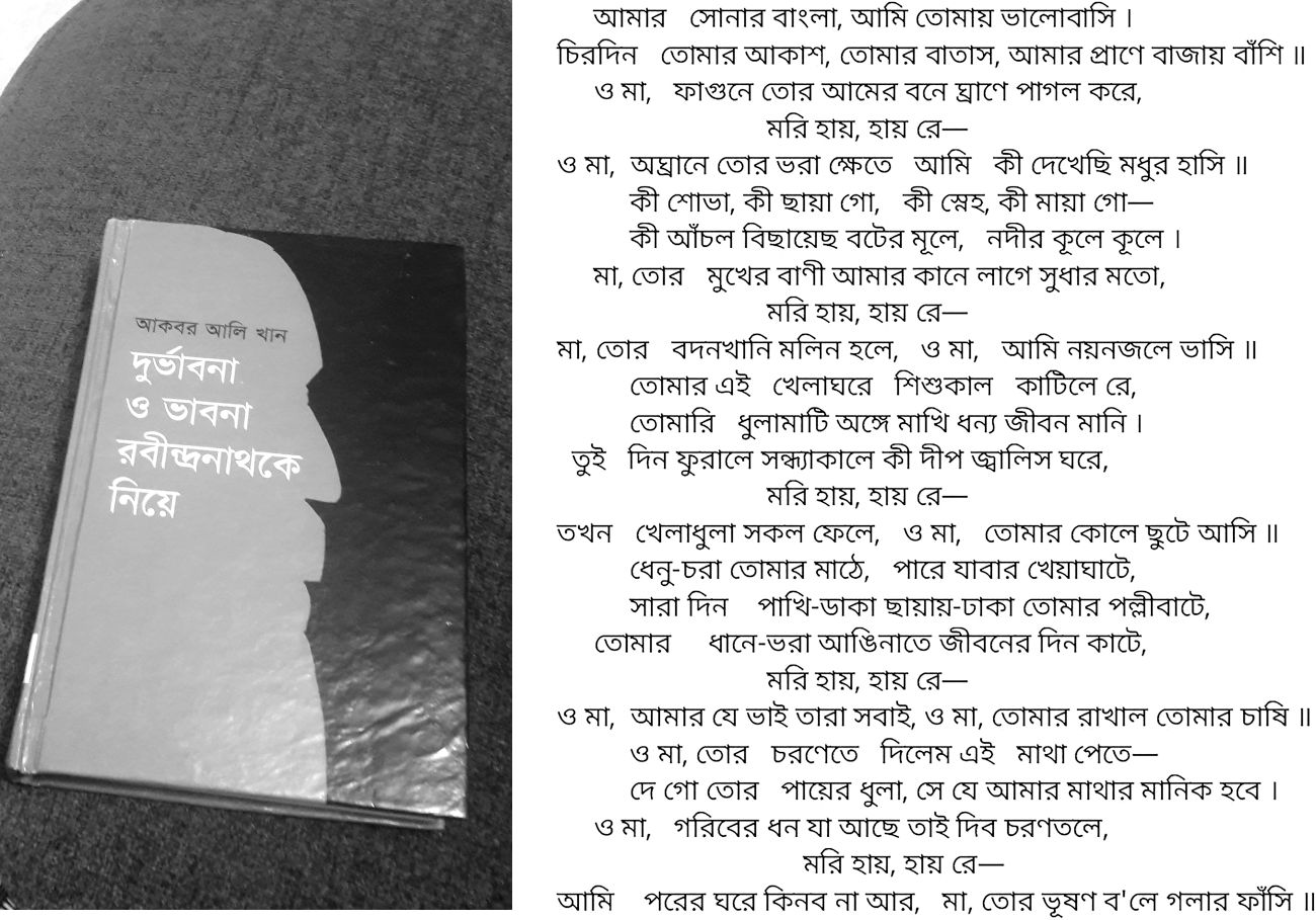 tagore_2.jpg