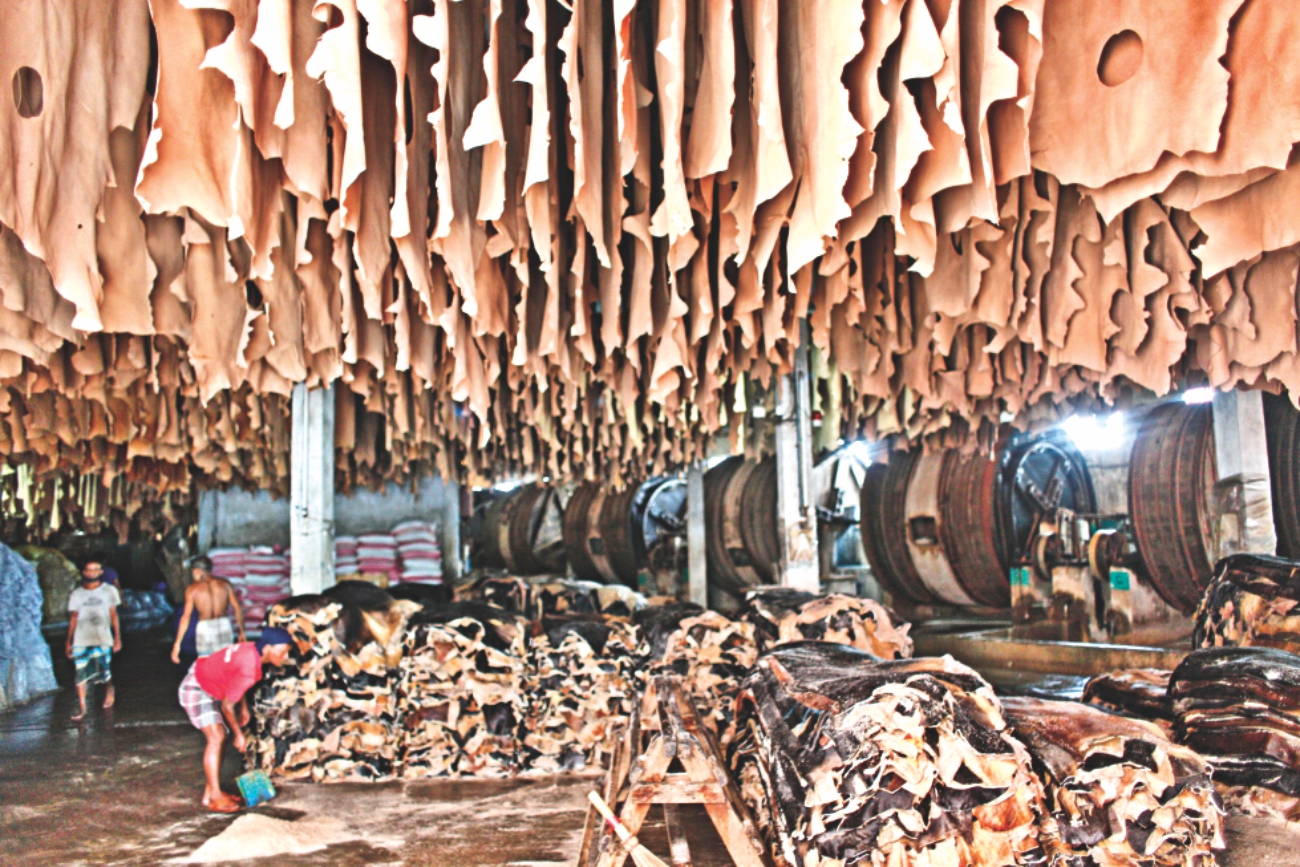 tannery 2.jpg