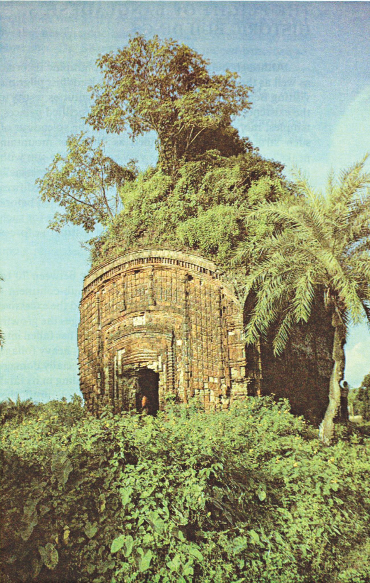 the_plight_-_an_overgrown_temple