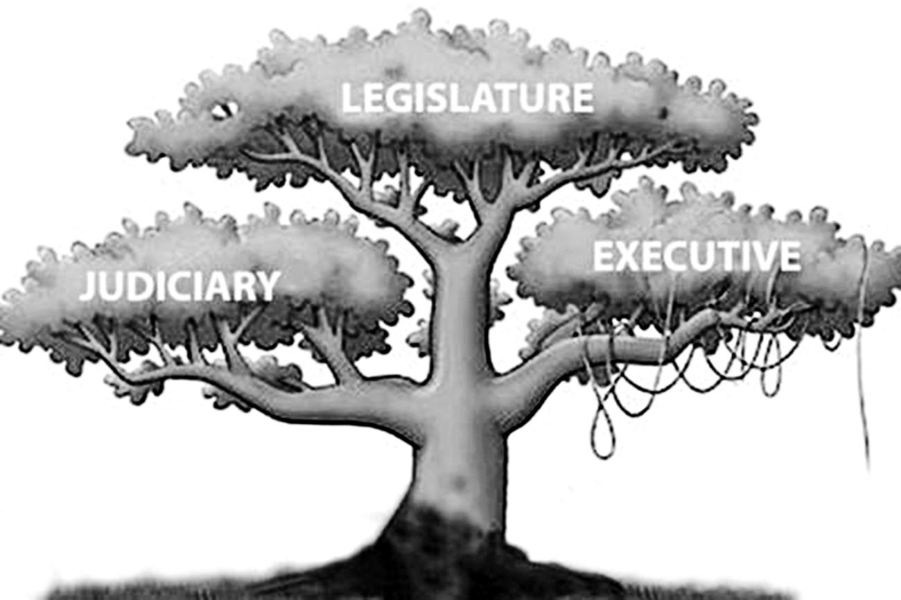 tree_2.jpg