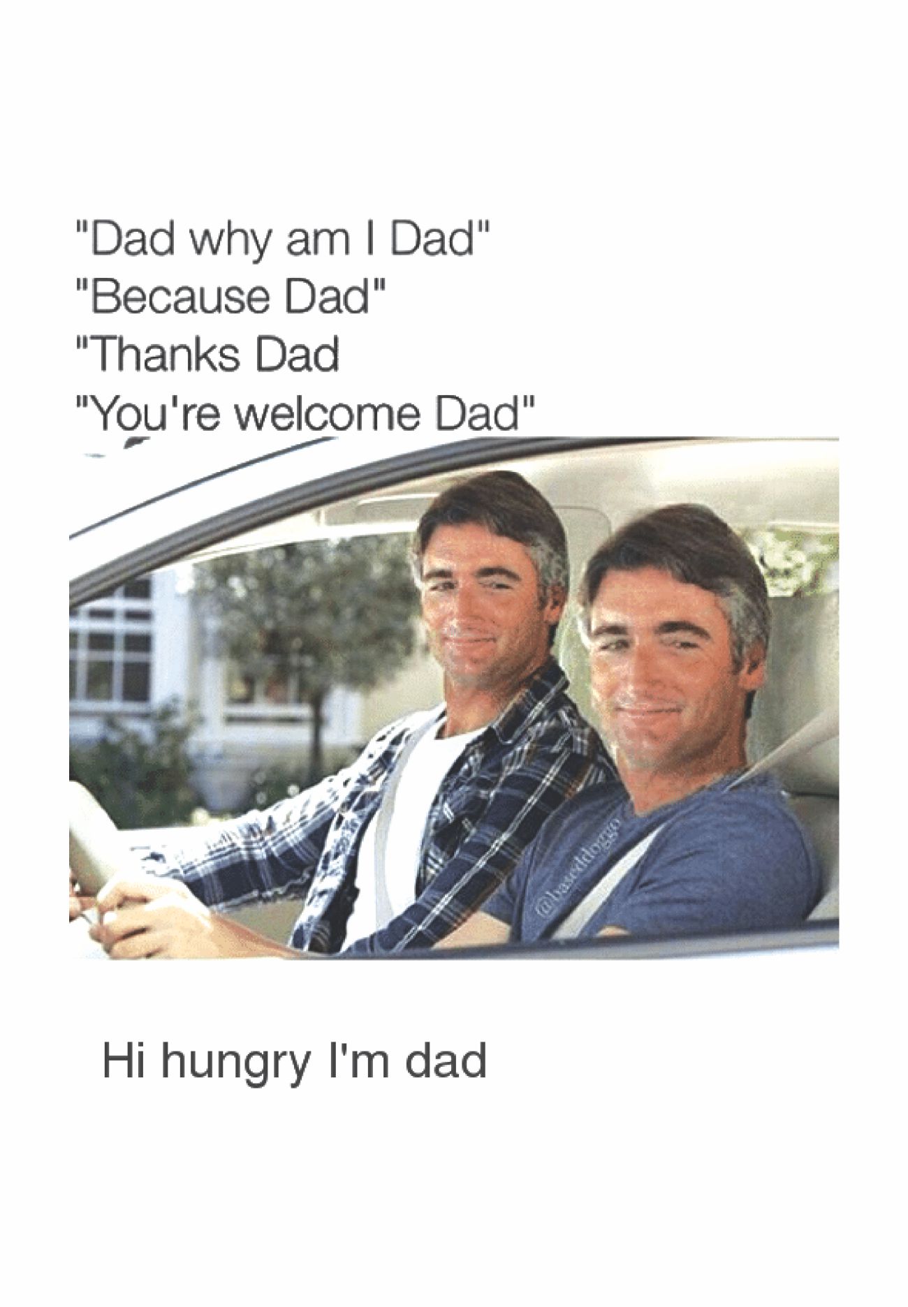 types_of_memes3.jpg