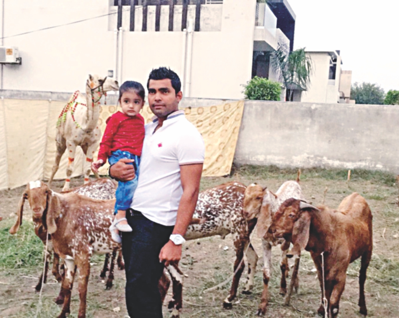 umar akmal.jpg