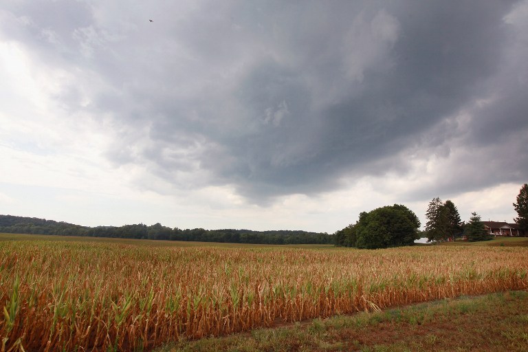 us-agriculture-afp2.jpg
