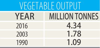 veg output.jpg