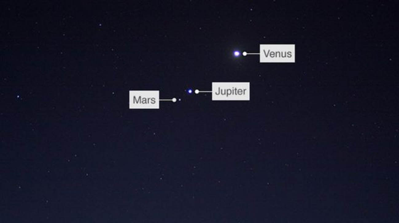 venus 1.jpg